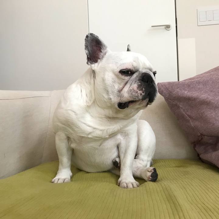 26a774a7 6c79 4c4f 9ffe 472141ed684e 1581672295728