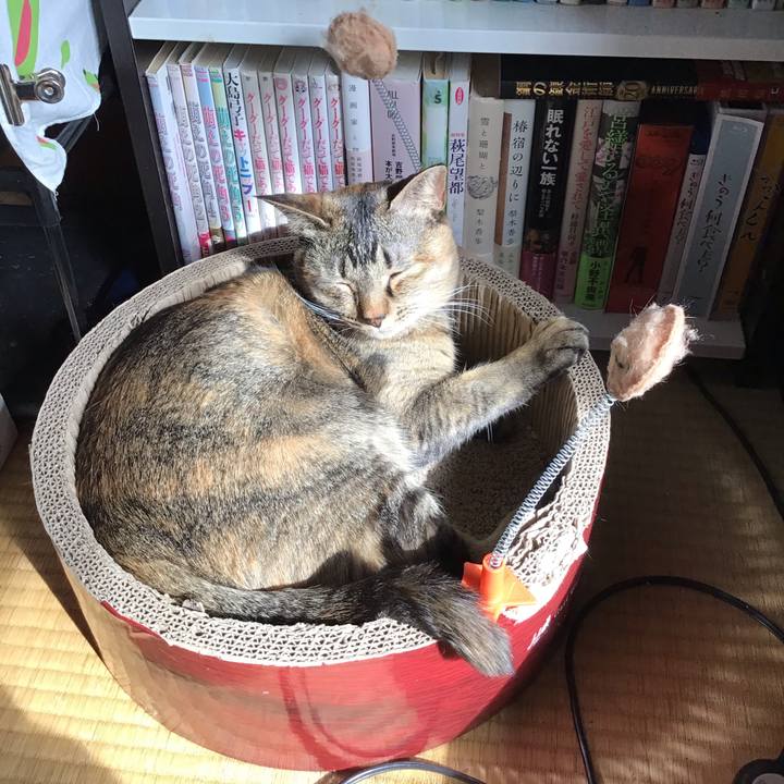 26a78094 b255 4b66 ae16 3364404e7ed5 1647827829413