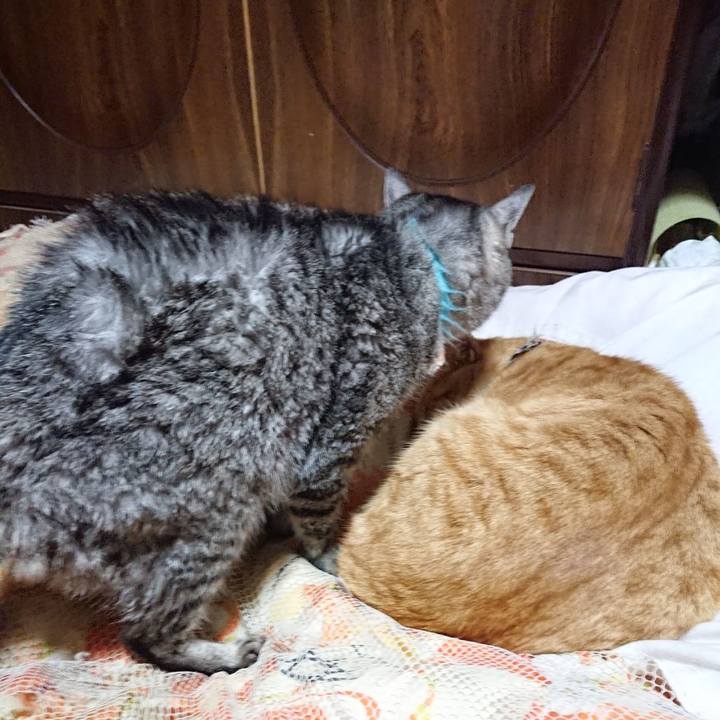 26a78b5e faf7 4e52 8da7 2a4bbbf7b22e 1574856701777