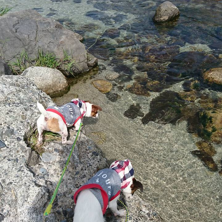 26a7ea95 4f39 495c a923 eaa1e776b059 1567471257996