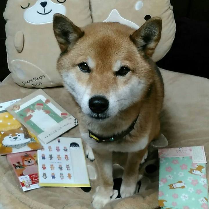 26a7f9ce d8cd 460e bb75 ef1e564bbdd0 1548663800330