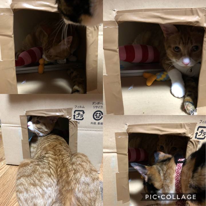 26a80538 0cfc 47bd 9842 47552e0cbf8e 1557926332296