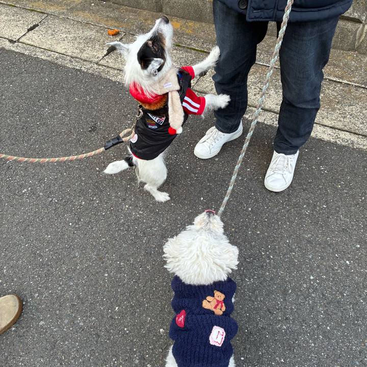 26a81325 cc7f 4da8 b17a 376ae33c6251 1766794305179