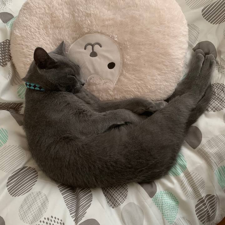 26a83577 b3d9 4ccd 89db 2abafe69f71c 1575187996036