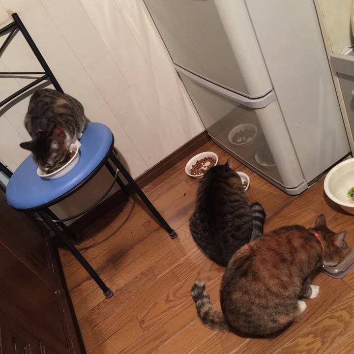 26a837d2 9d6d 403d 8414 05522a2286d2 1549548609428