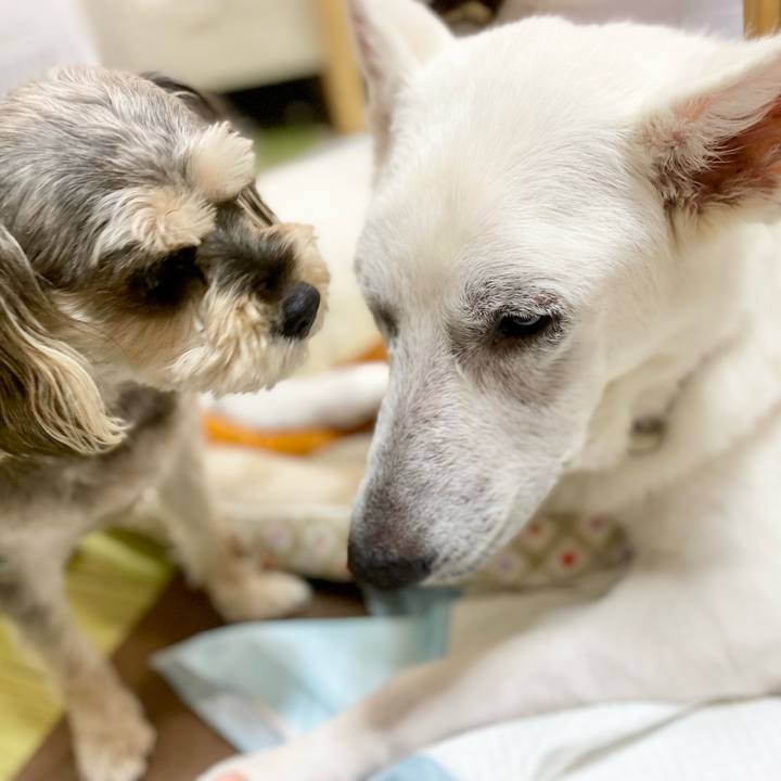 26a83d05 bdcb 4cd9 829f 4857f4f37569 1671767805021