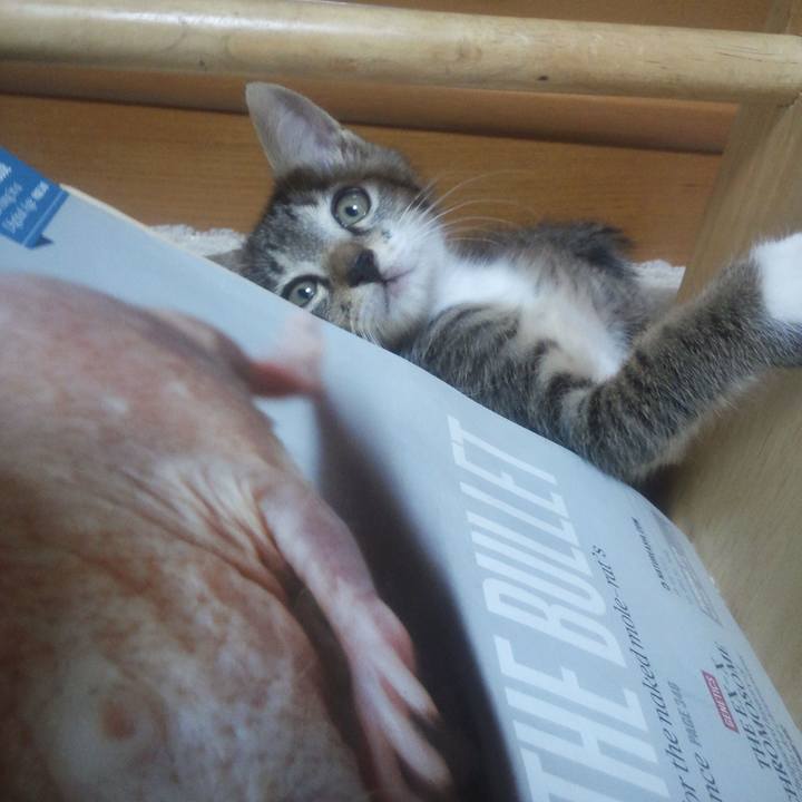 26a85c93 8df6 4143 9f7e e8d83bb997d6 1611502546505