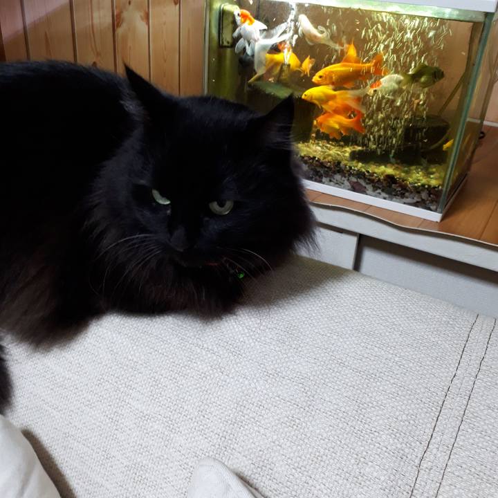 26a86827 0838 473b 8d4c eee4c4840d79 1519935446892