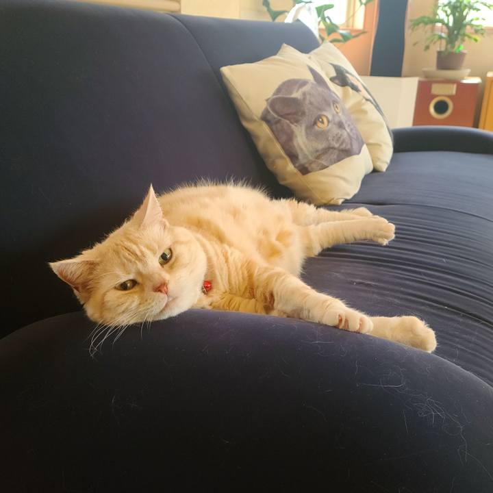 26a89fd9 899c 4e8a 9da5 ffb2962bdd44 1651048479026