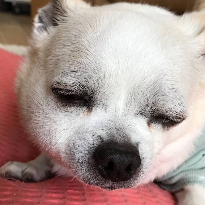 26a8ba4f 162c 443b bca9 da0c0c4e23a7 1648694818387