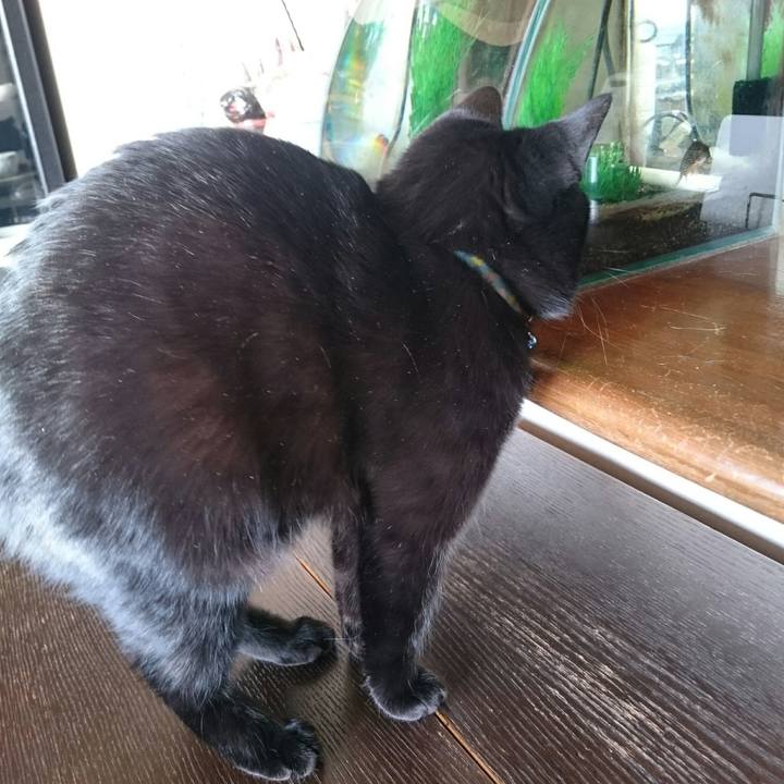 26a918c2 2ca6 43ed 96ac 72f5ab86794a 1517183366936