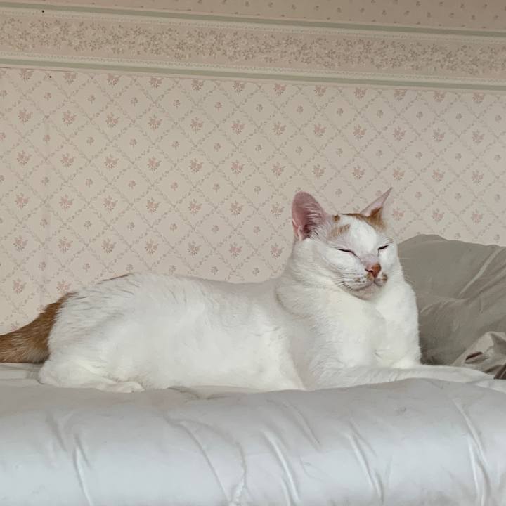 26a922fd 9e21 4f89 bdf1 5edf0cbde5e6 1656277238118