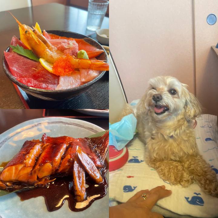 26a92b79 f8bd 4f2e 987b e1f68f666928 1753414277281