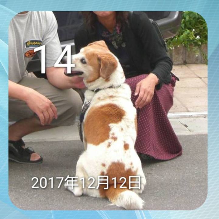 26a95bf5 d8ff 4c1c b418 d98901425fcc 1639468793847