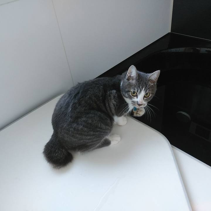 26a98109 3332 49f9 bbb4 71ea34c4184f 1574288972759