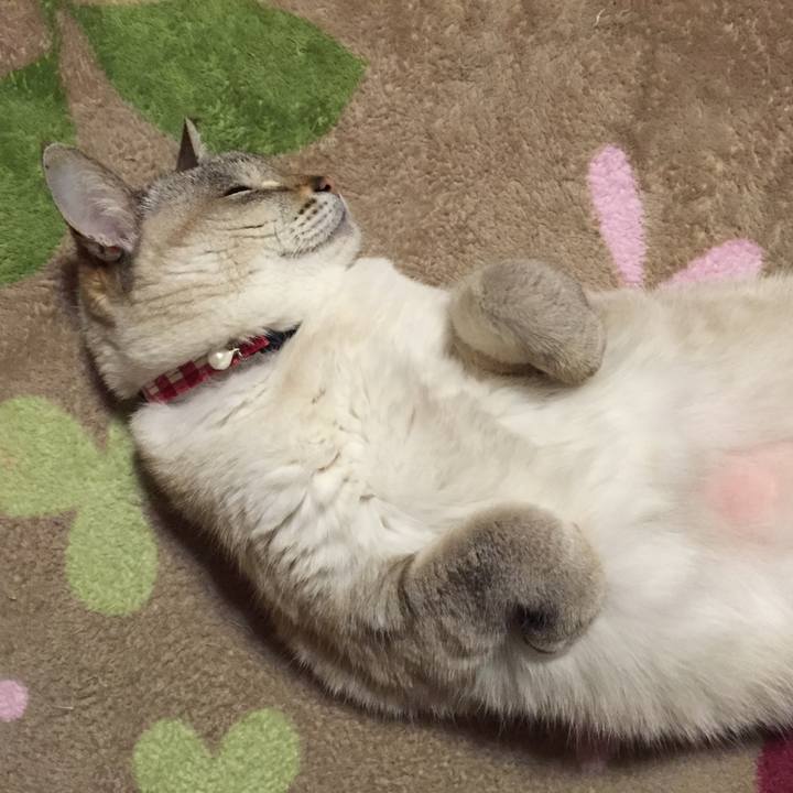 26a98282 aeff 459e 979f 80ded7da9ce8 1517144825733