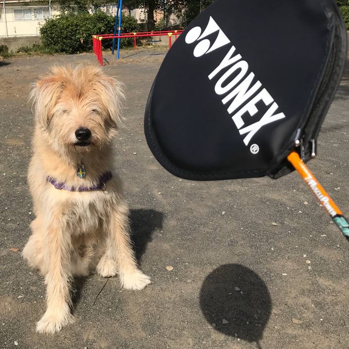 26a99cdc ba45 4ee4 a5be 33ac4b2ee462 1540009905619