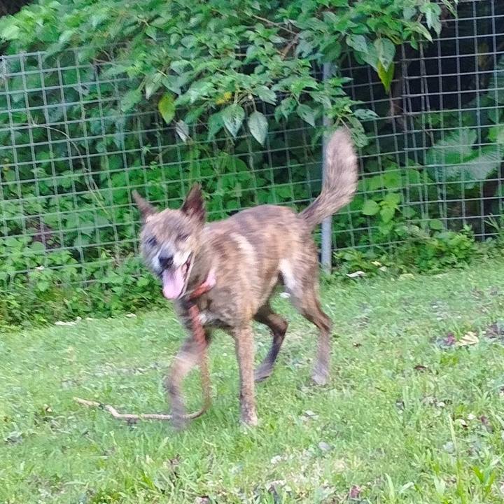 26a99ee4 c199 464c b2df 58a4801ae33b 1696204457109