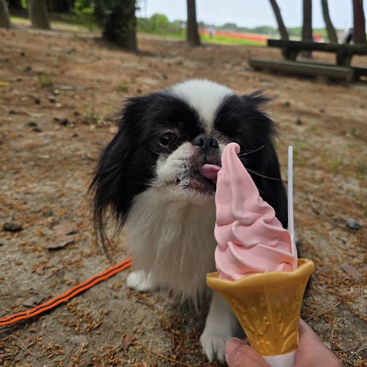 26a9d041 9385 40bc 85be c5c069cd52d5 1747975208332