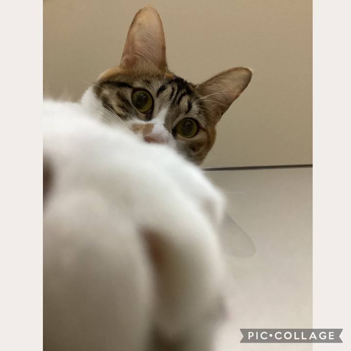 26a9e2a0 4023 4e82 ba0d 430acaad2558 1670228344978