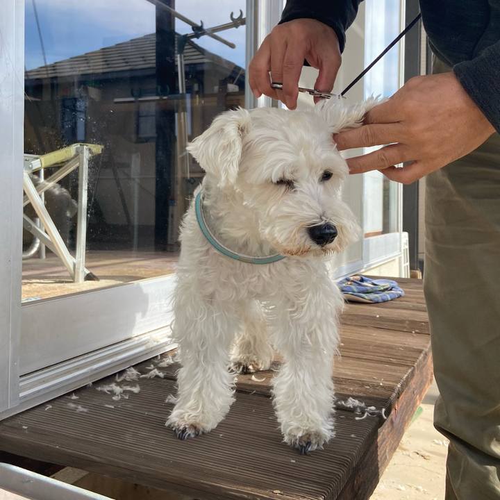 26aa7945 3ee3 43d4 9ed6 baccf66ecb90 1762140282232