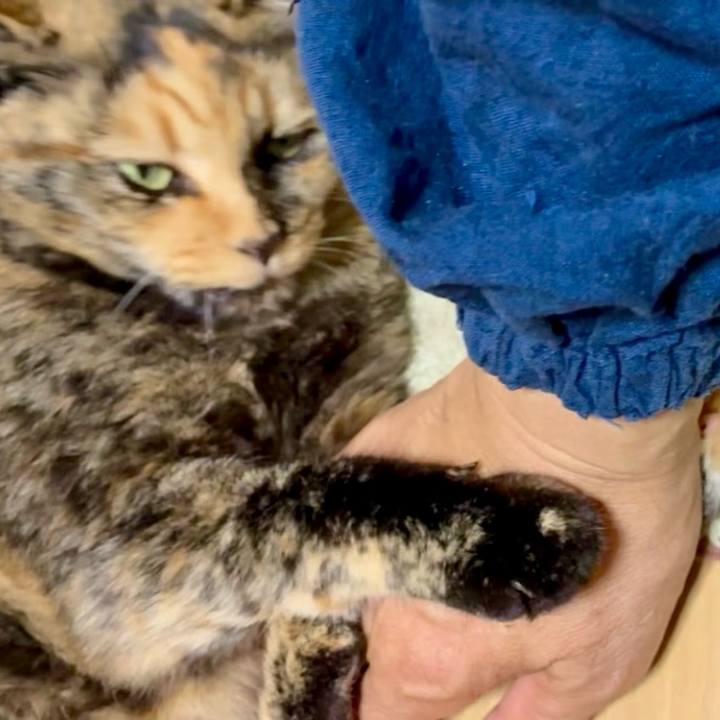 26aa94b4 2191 4cb9 9be1 b0edab1adc99 1750474355697