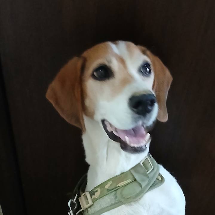 26aae724 41a3 4478 bec0 b5c7ace1446b 1755588215162