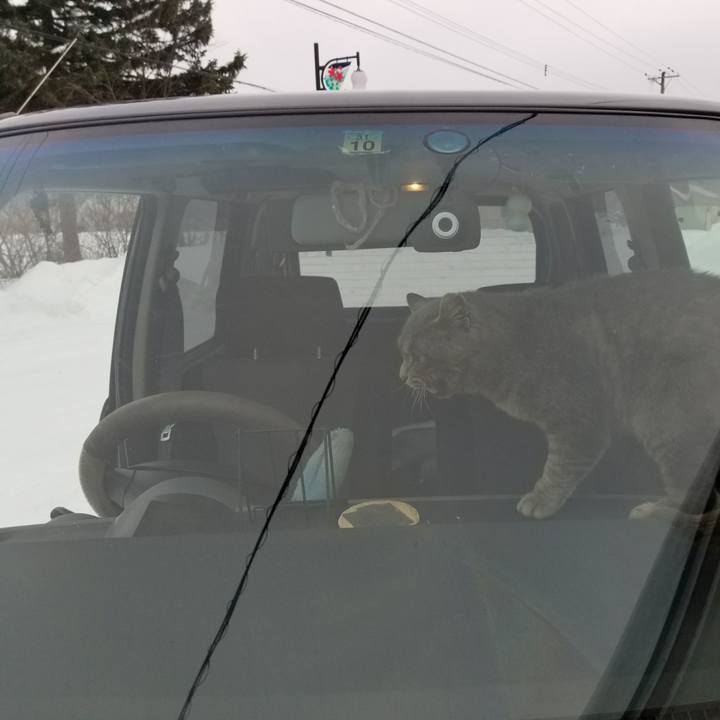 26ab2fbf 2121 48a4 8c0f 070286912e82 1515997663954