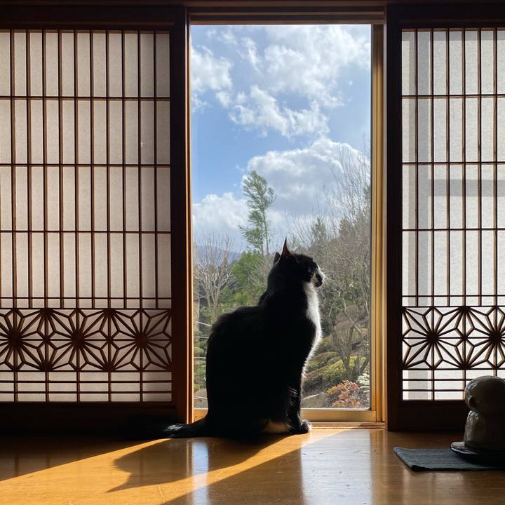 26ab4700 0c50 4f21 977c 46b65cf2f3b4 1618725292610