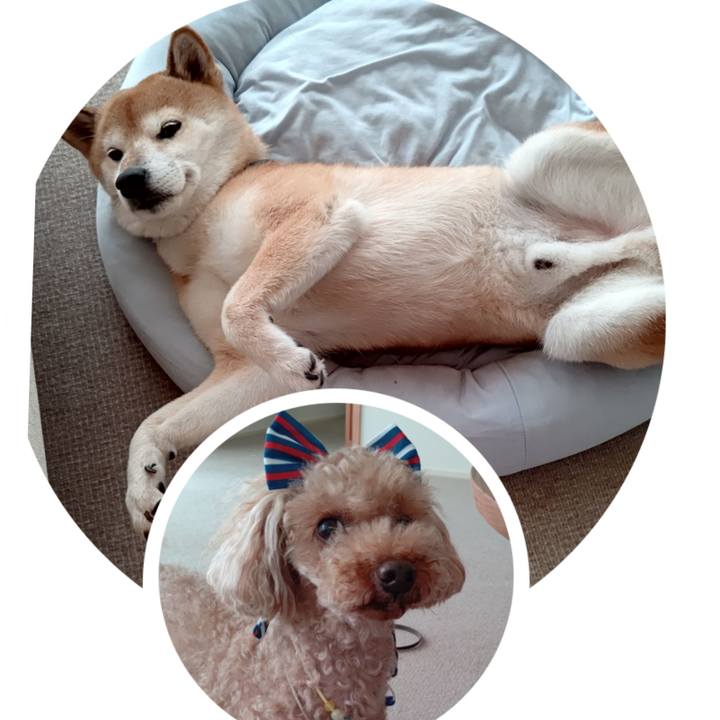 26ab5b7d 6b20 48f4 80cc a286e3519972 1597296697879