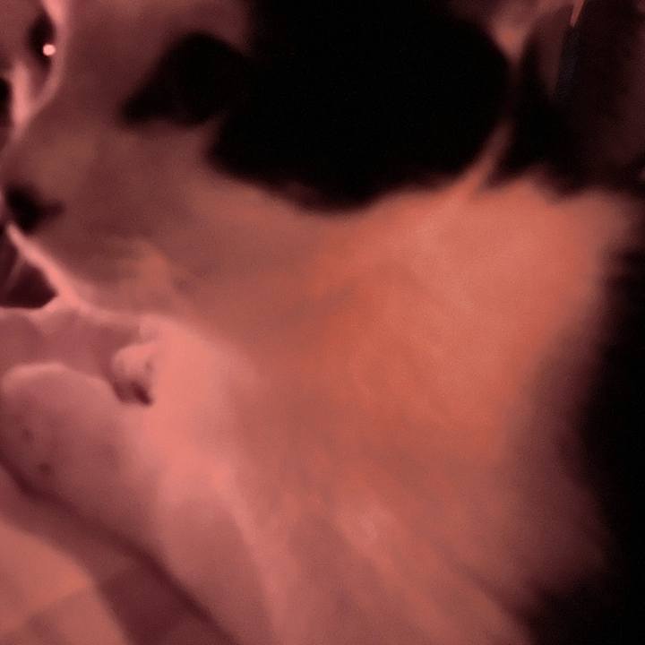 26ab8faa 6c16 4be7 9569 75e35b19a4d5 1652122888848