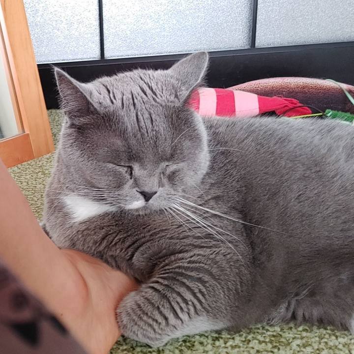 26abd591 a4df 4ace b555 37007962ebe0 1713393035593