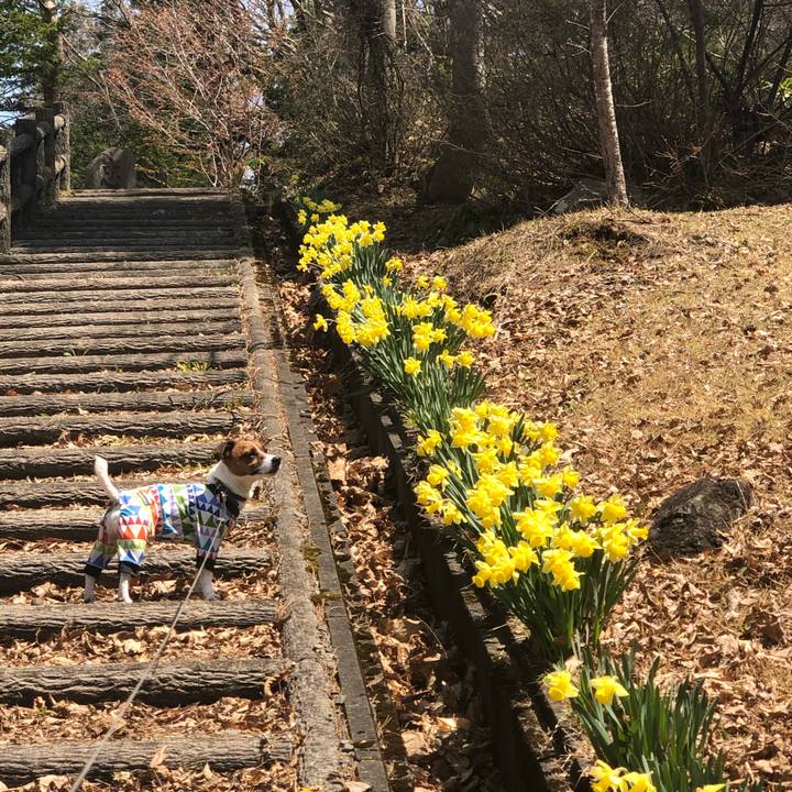 26abeca4 c88d 4085 b524 4b303ce02831 1633525533056