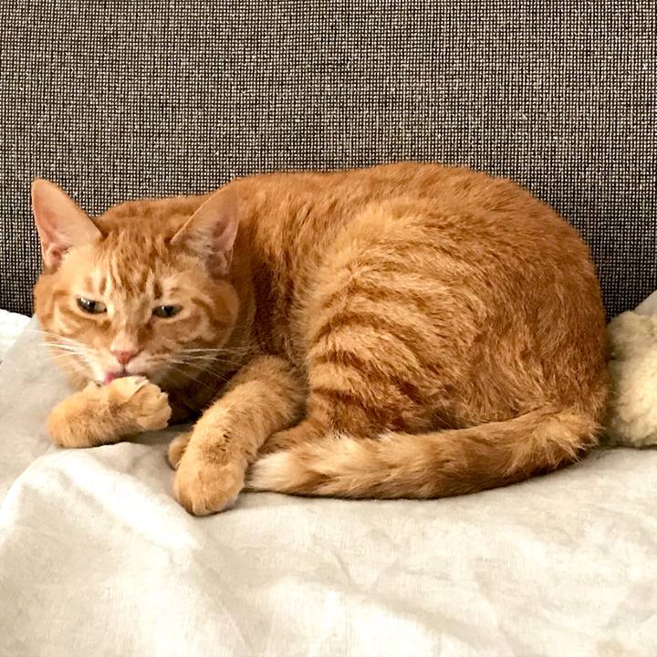 26abf23d 3051 4b2a 8be3 766b906e8824 1522979562613