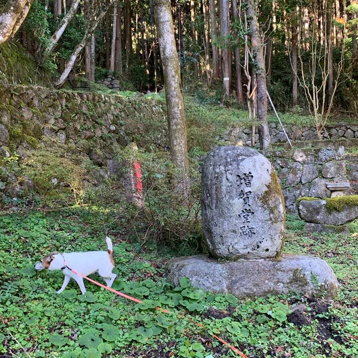 26abff4f bbbc 43be 8f6a 20ca128cd620 1573296712082