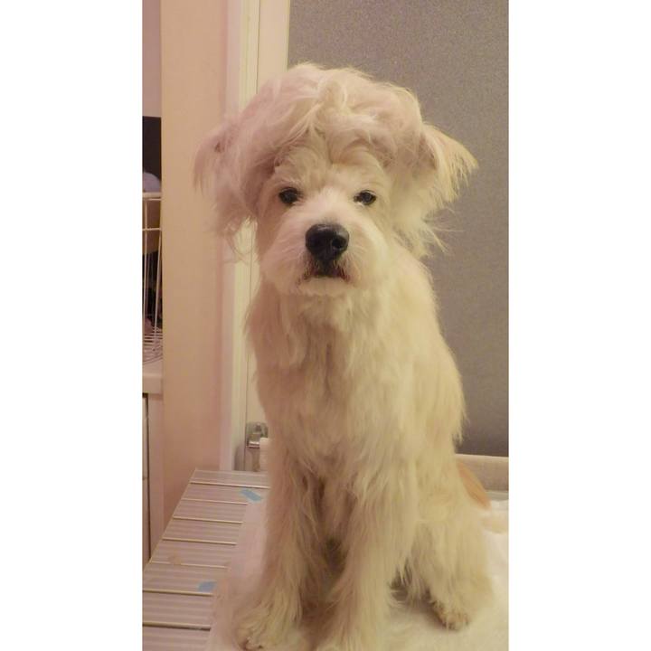 26ac2638 56e4 4d0f 9a2c bf93b64955bc 1563608345389