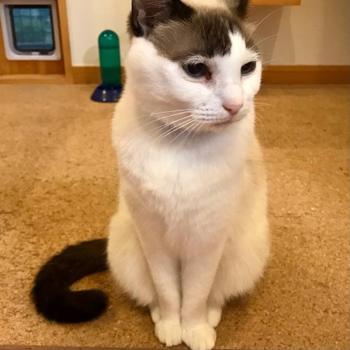 26ac27b3 a9b1 40df b75d b1d12ab69a0c 1607125355679