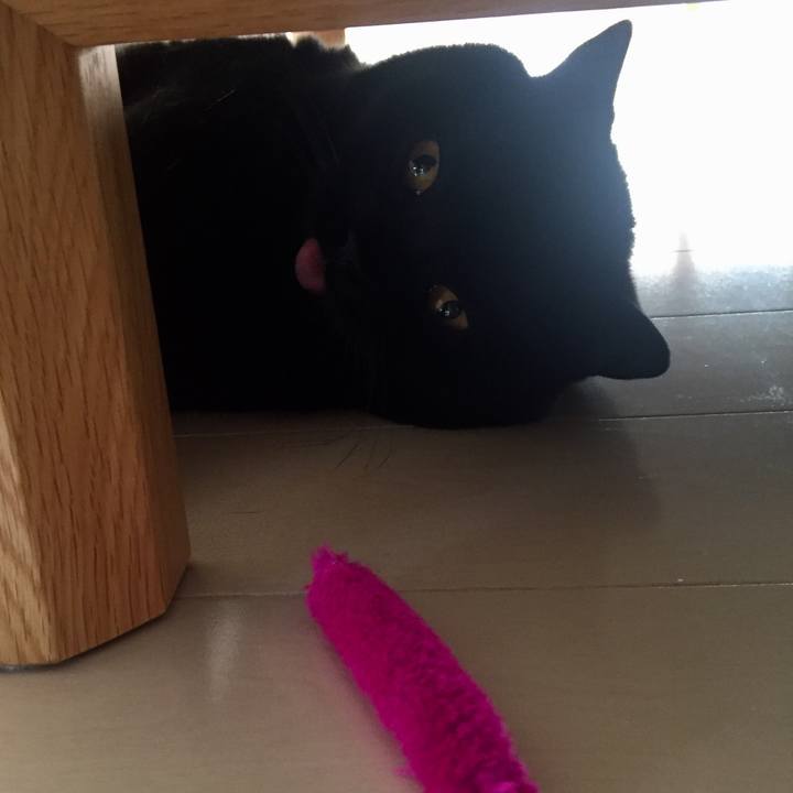 26ac4996 841d 4cb4 aef2 573b3706cf61 1564609480734