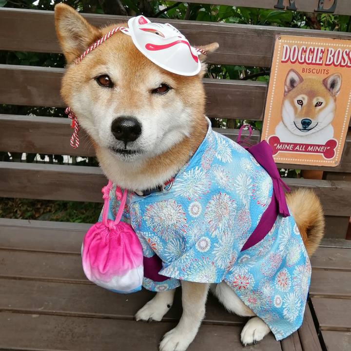 26ac4d67 df5f 4b80 8e4f 7c87ff52bcd0 1689430414400