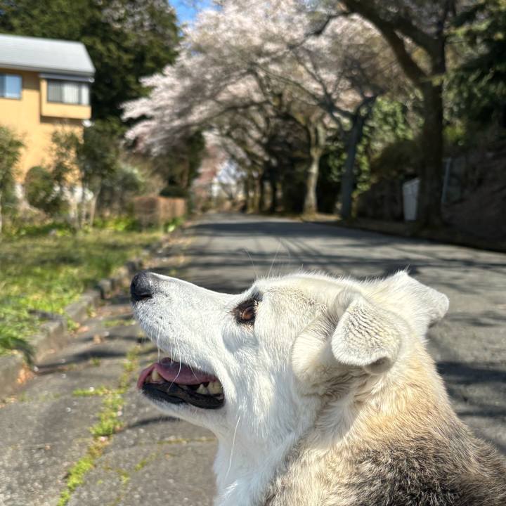 26ac4f1b 7c74 47f2 bc37 5be32046c190 1743827057206