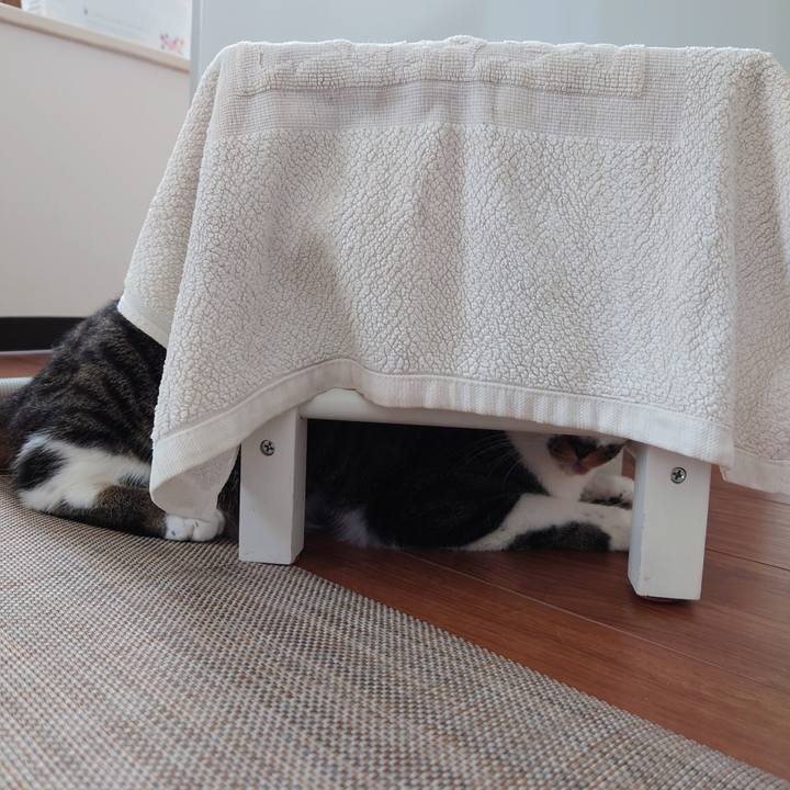 26ac7b54 a848 45fe a1e2 309ce021332f 1766478968457