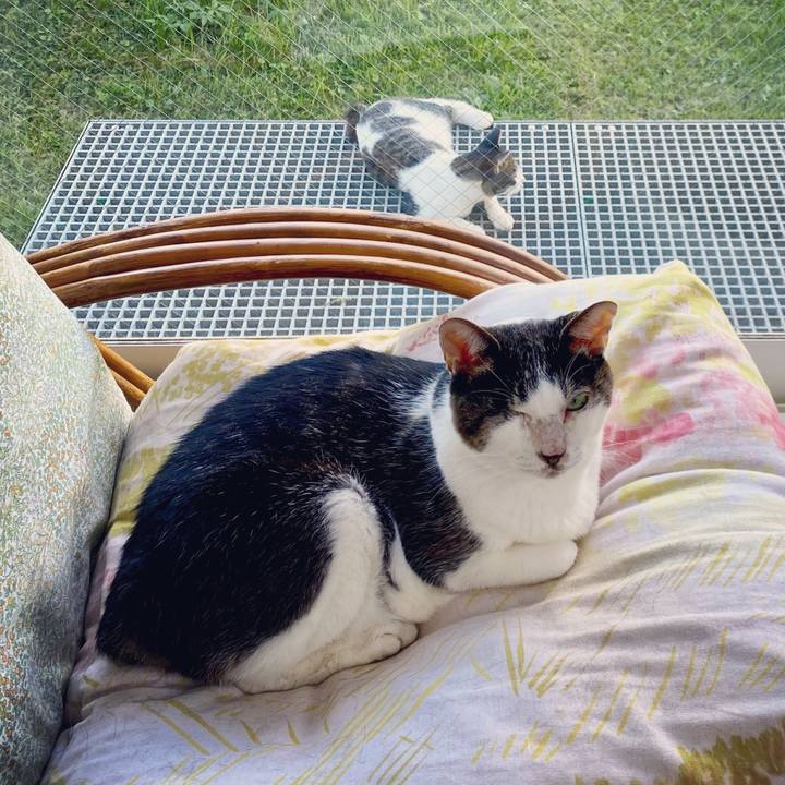 26aca2e3 3f17 4d96 8add 51a7c5a26d3e 1599821673594