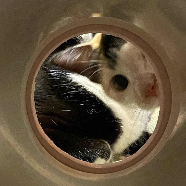 26acb02a 1115 498b 8006 e93f9f395d85 1674473330205