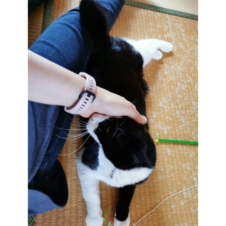 26acb9d2 3415 4efe b57d 0a95352c6091 1628396286778