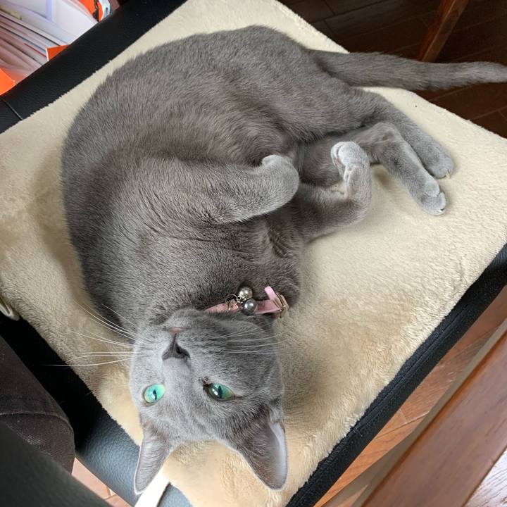 26ad353f 6bd8 4e5a 906a 0529f5c6607b 1587285307035