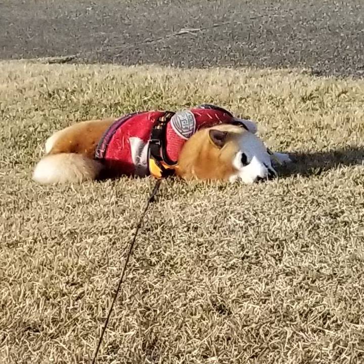 26ad697e a230 4572 bc37 416d83732466 1606282429398