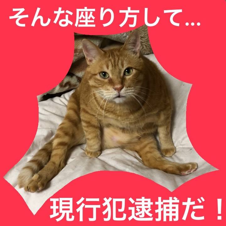 26ad6d2e 833e 481a 8e67 7c02fc36e46a 1620208511159