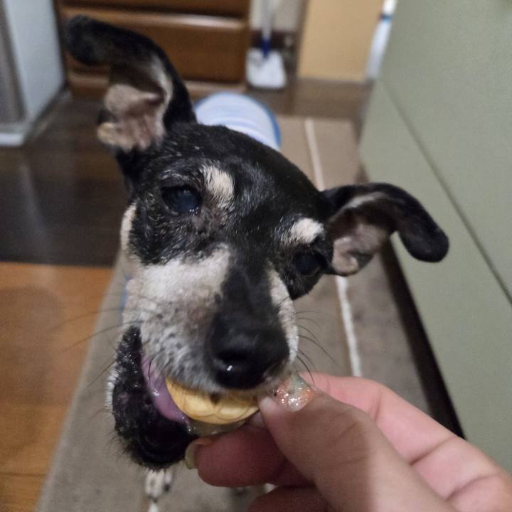 26ad8883 a665 4276 8a20 d42ec5aeb66b 1758051682390