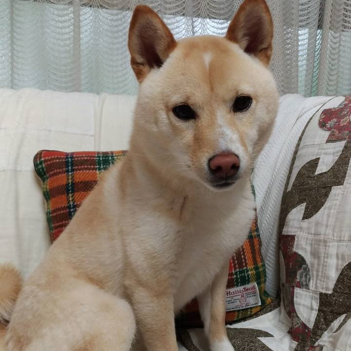 26ada3cc 6fe1 4936 83f9 f7ef6605bb5f 1524460356123