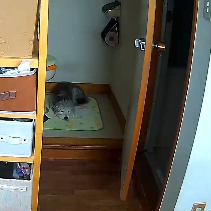 26add820 ee14 4545 9eef d6263108b71e 1563448447727